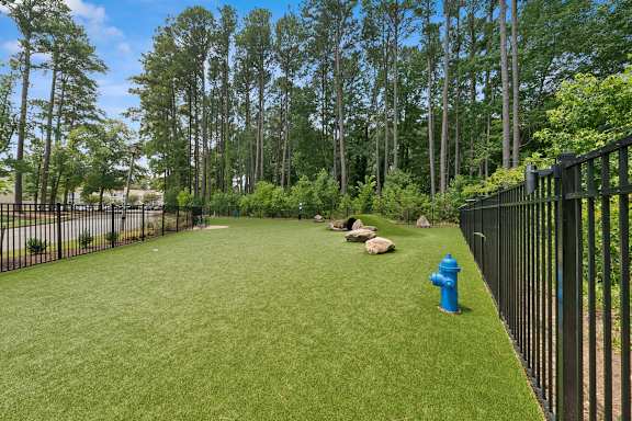 A blue fire hydrant sits on a green lawn next to a black fence.