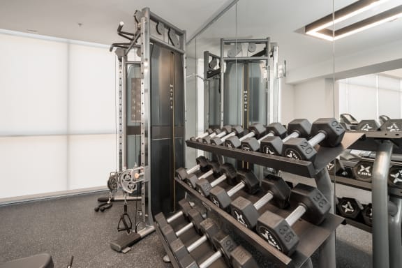 a fully equipped gym with free weights and a punching bag at East 51 At Rocketts Landing, Richmond, 23231