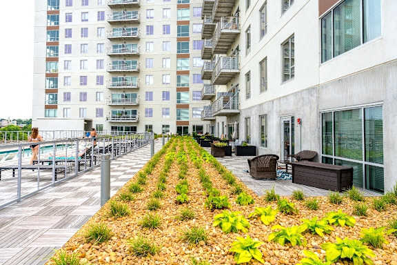 an outdoor amenity area of an apartment building with grass and plants at South Falls Tower, Richmond, VA, 23224