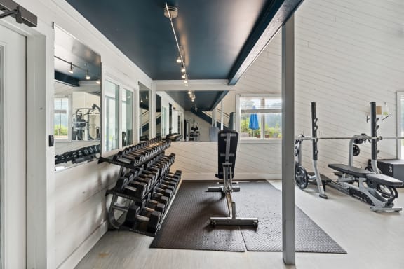 the gym at the adelphi condos in sarasota, fl