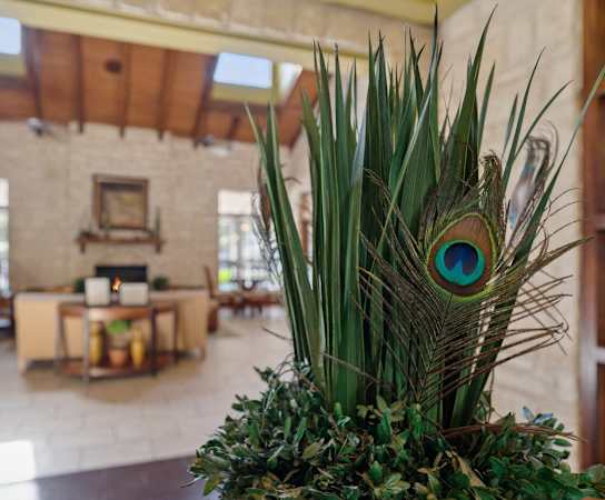 a peacock feather in the middle of a room with a table and chairs at Sedona Springs, Texas