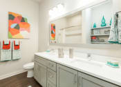 Thumbnail 8 of 30 - Well Lit Bathroom interior at Proximity Apartments, South Carolina, 29414