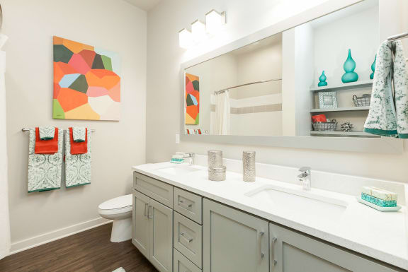 Well Lit Bathroom interior at Proximity Apartments, South Carolina, 29414