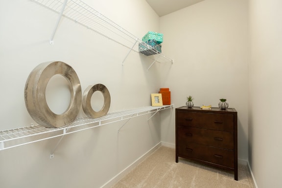 Walk In closet at Proximity Apartments, Charleston, SC, 29414