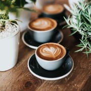 a table with four cups of coffee on it with plants in the background