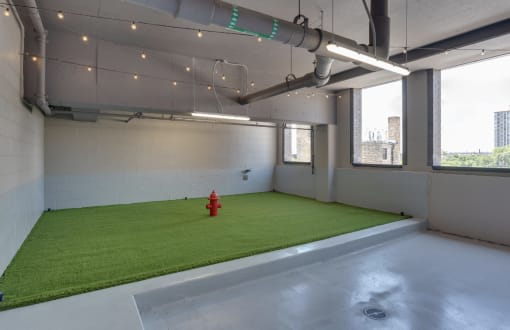 a large room with an artificial grass floor and a red fire hydrant