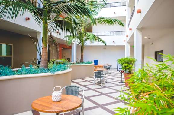 A patio with a table and chairs surrounded by plants.