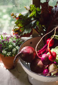 radishes and herbs at Mitchell Place Apartments in Murrieta, CA