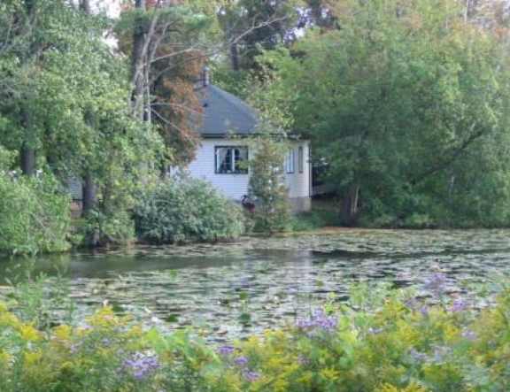A house is surrounded by trees and vegetation by a body of water.