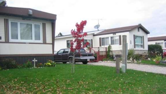 Two manufactured homes with a red tree in front of it