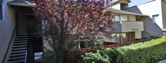 an apartment building with stairs and a tree in front of it