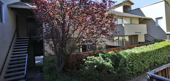 an apartment building with stairs and a tree in front of it