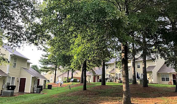 A tree in front of a house in a residential area.