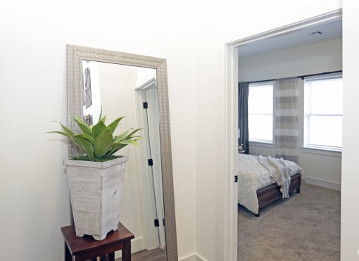 Entrance to bedroom with mirror and plant