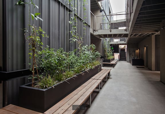 a long corridor with benches and plants in a building