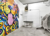 Thumbnail 2 of 3 - colorful mural dog on wall next to pet wash and grooming station