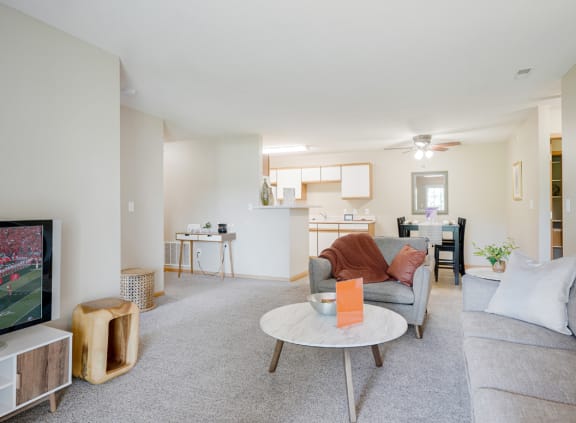 a living room with a couch and a coffee table and a television