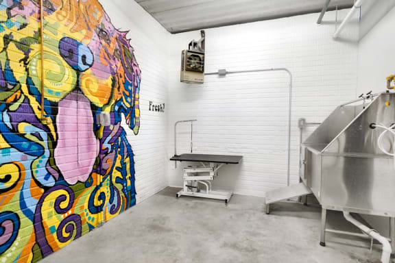 colorful mural dog on wall next to pet wash and grooming station