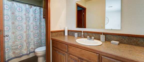 a bathroom with a sink and a toilet