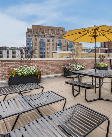 Rooftop deck with grills at Palisades, Washington, 20005