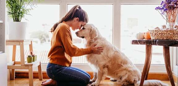 A woman is hugging a white dog in a room with a table and a potted plant.