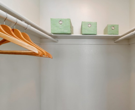 Spacious closet at Spring Meadow Apartments in Glendale, Arizona 85302