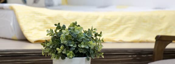 a white vase with a green plant on a couch