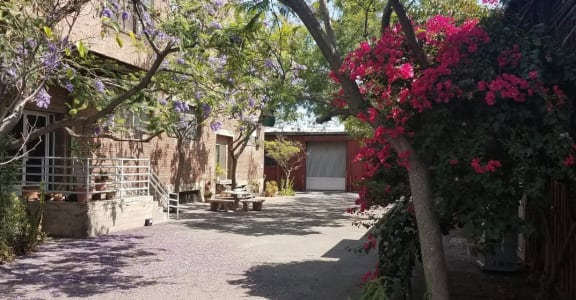 a courtyard with trees and flowers