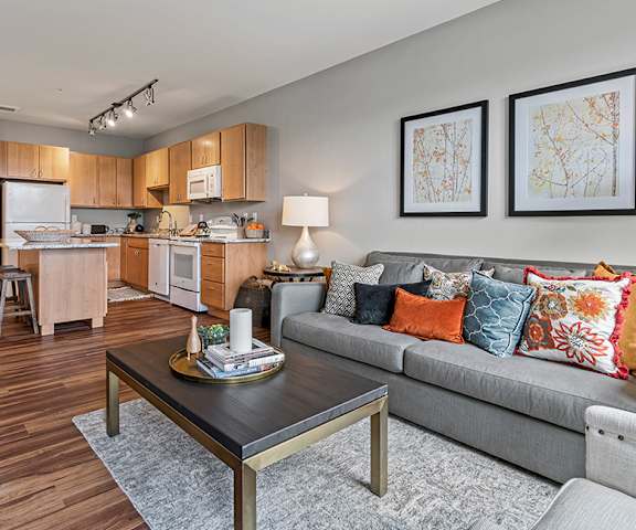 Living Area With Kitchen at Brighton Oaks, Minnesota, 55112