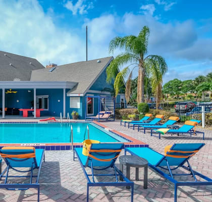 the swimming pool at the resort on longboat key