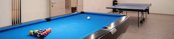 a game room with a pool table and a ping pong