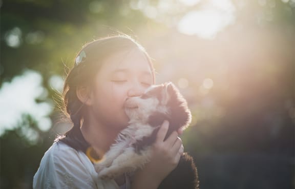 Pet friendly apartments in Arlington VA