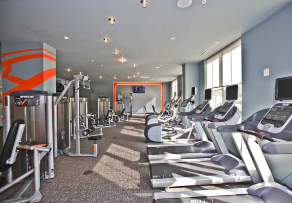 a room filled with lots of cardio equipment and dumbbells
