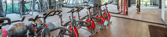 Apartments in Cornelius For Rent - The Junction at Antiquity Fitness Center with Cycle Bikes and Cardio Equipment