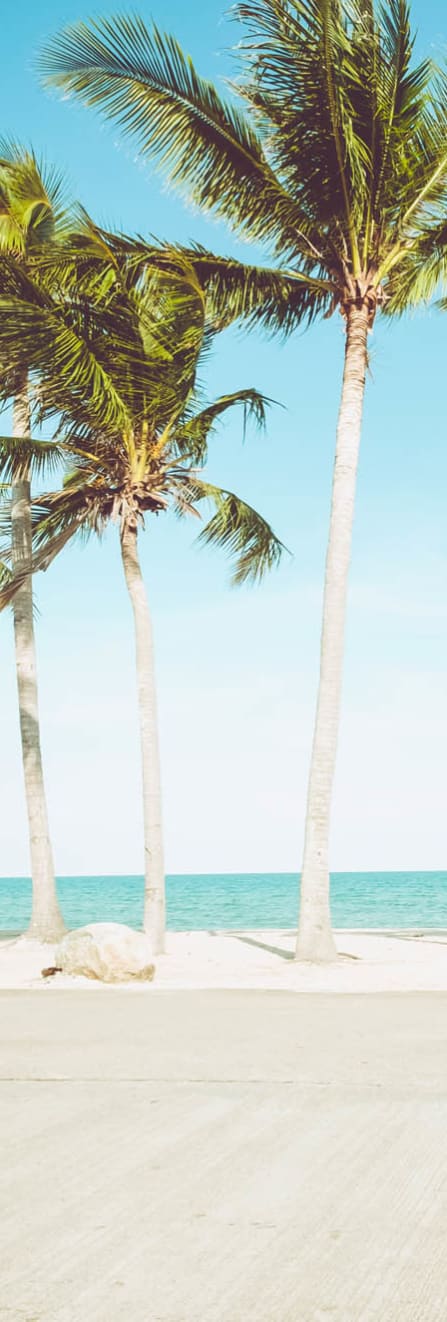 Ride Near A Ocean at Casa Del Amo Apartments, Torrance, CA 90505