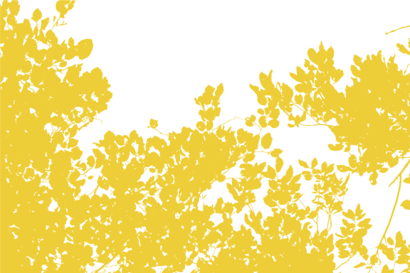 abstract black and yellow graphic of a tree