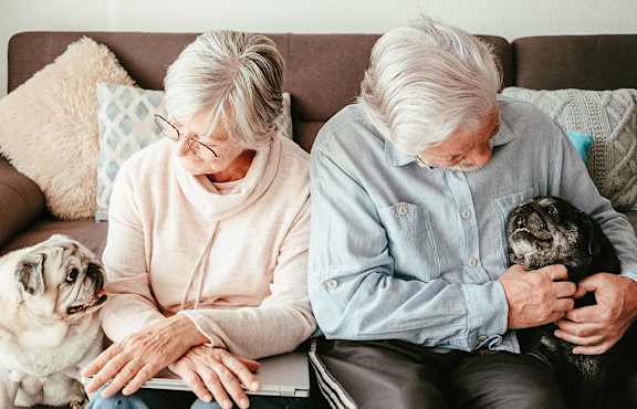 An older couple sitting on a couch with a pug and a puggle.