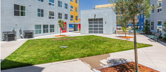 A tree in a brown planter sits in the middle of a grassy area between two buildings.