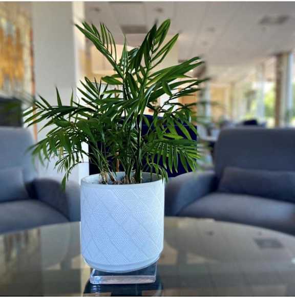 a potted plant on a table in a lobby