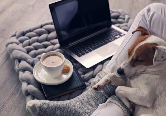 A dog is sleeping on a person's lap next to a laptop and a cup of coffee.