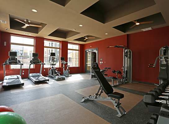 A gym with a variety of equipment including treadmills, weights, and exercise machines.