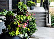 Thumbnail 6 of 26 - Front Entrance