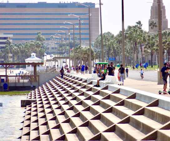 people walking and skateboarding on a waterfront promenade with palm trees and buildings in the