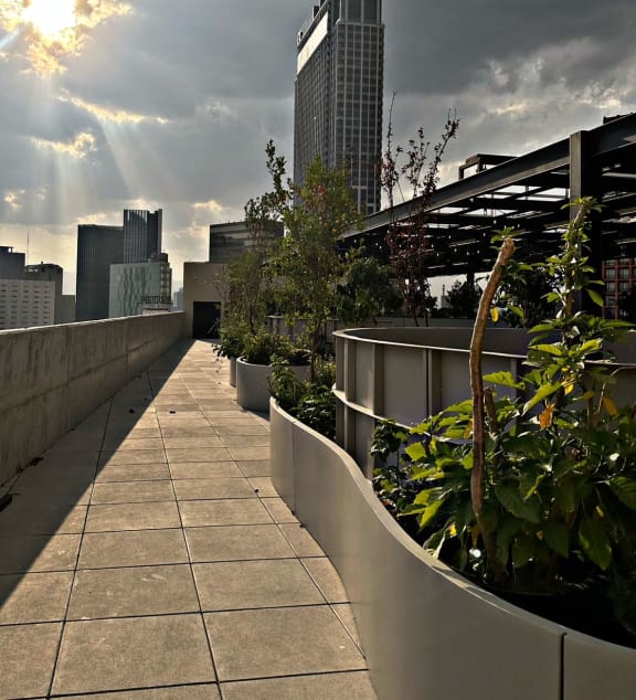 a view of the city from a roof terrace