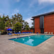 the swimming pool at our hotel