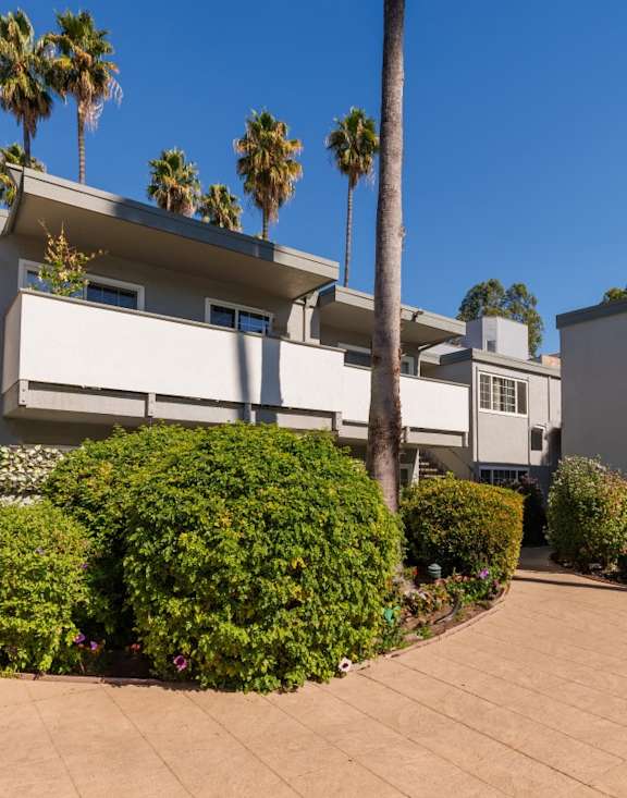 A house with a palm tree in front.