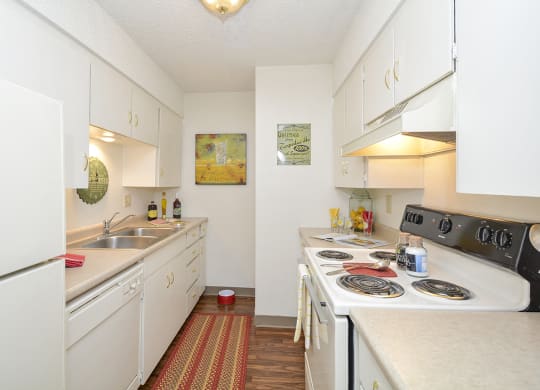 Classic Apartment Kitchen Style