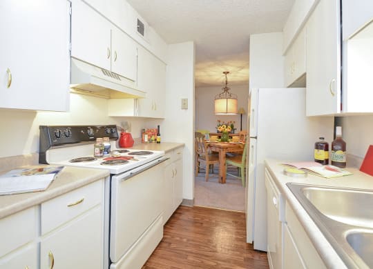 Classic Apartment Kitchen Style