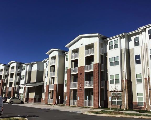 Photo Gallery Image