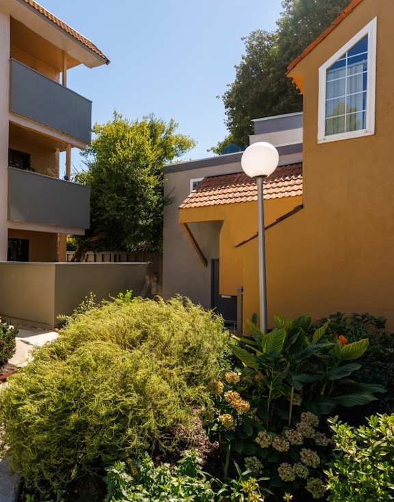A narrow pathway between two buildings with greenery on the sides.